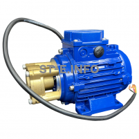 Двигатель + помпа для блока жидкостного охлаждения 3510В с выходящим валом - st-e.info - Ижевск